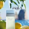 DOLCE GABBANA LIGHT BLUE FOR WOMEN EDT 100 ML - NEW PACKAGING